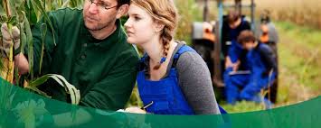 Agricultural Educational Workshop News Explained Simply