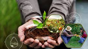 Fruit Cultivation Tech News Today