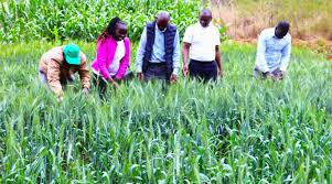 Government Agriculture Projects 2026 Insights