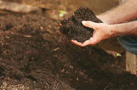 Organic Soil Preparation News Explained