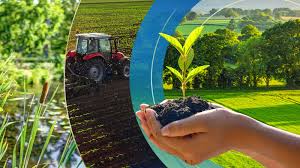 Simple Tips to Improve Soil Fertility