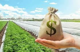 Understanding Agricultural Loan Policy Updates