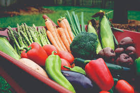 Ways to Increase Vegetable Production
